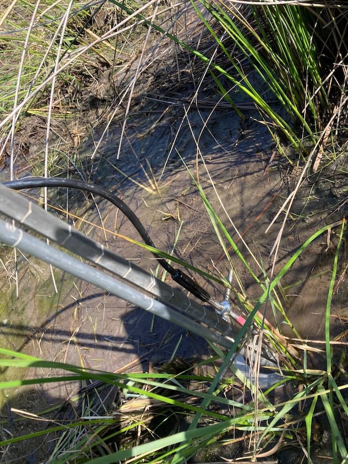 A pole sticks out of the marsh, with an instrument at the bottom
