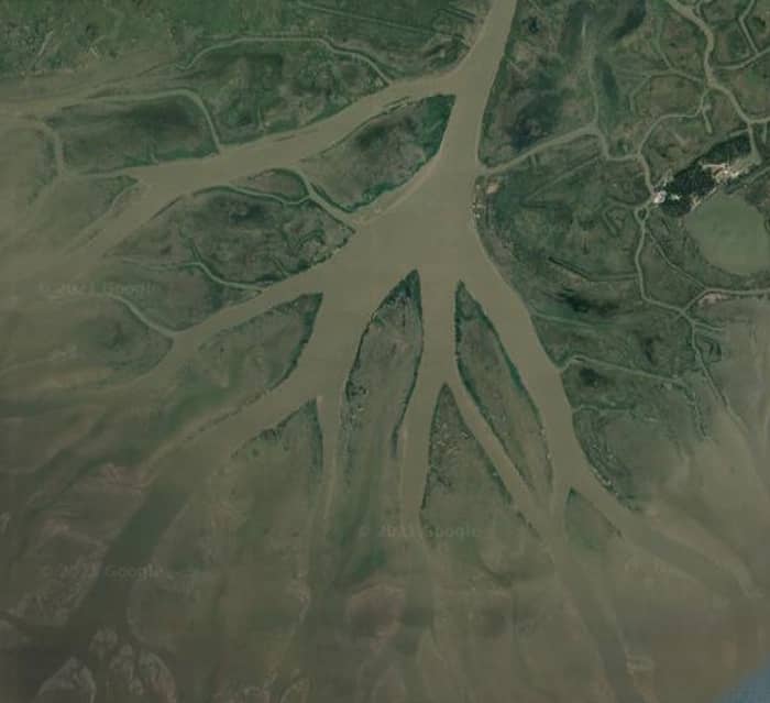 Aerial image showing the branching arms/fingers of the Wax lake Delta