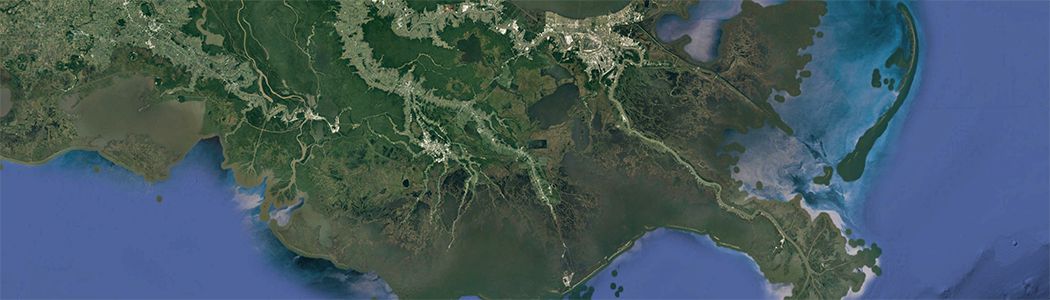 Satellite image of the green Mississippi Delta surrounded by blue ocean