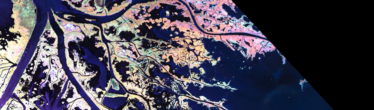 Colorful radar image of the Mississippi Delta
