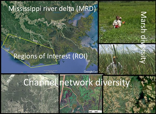 Collage showing the region of interest, marsh diversity, and channel network diversity
